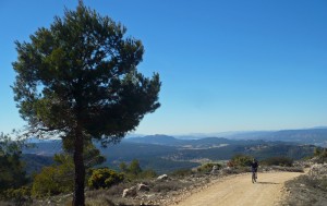 Ruta guiada mountain biking por la Sierra de Mariola