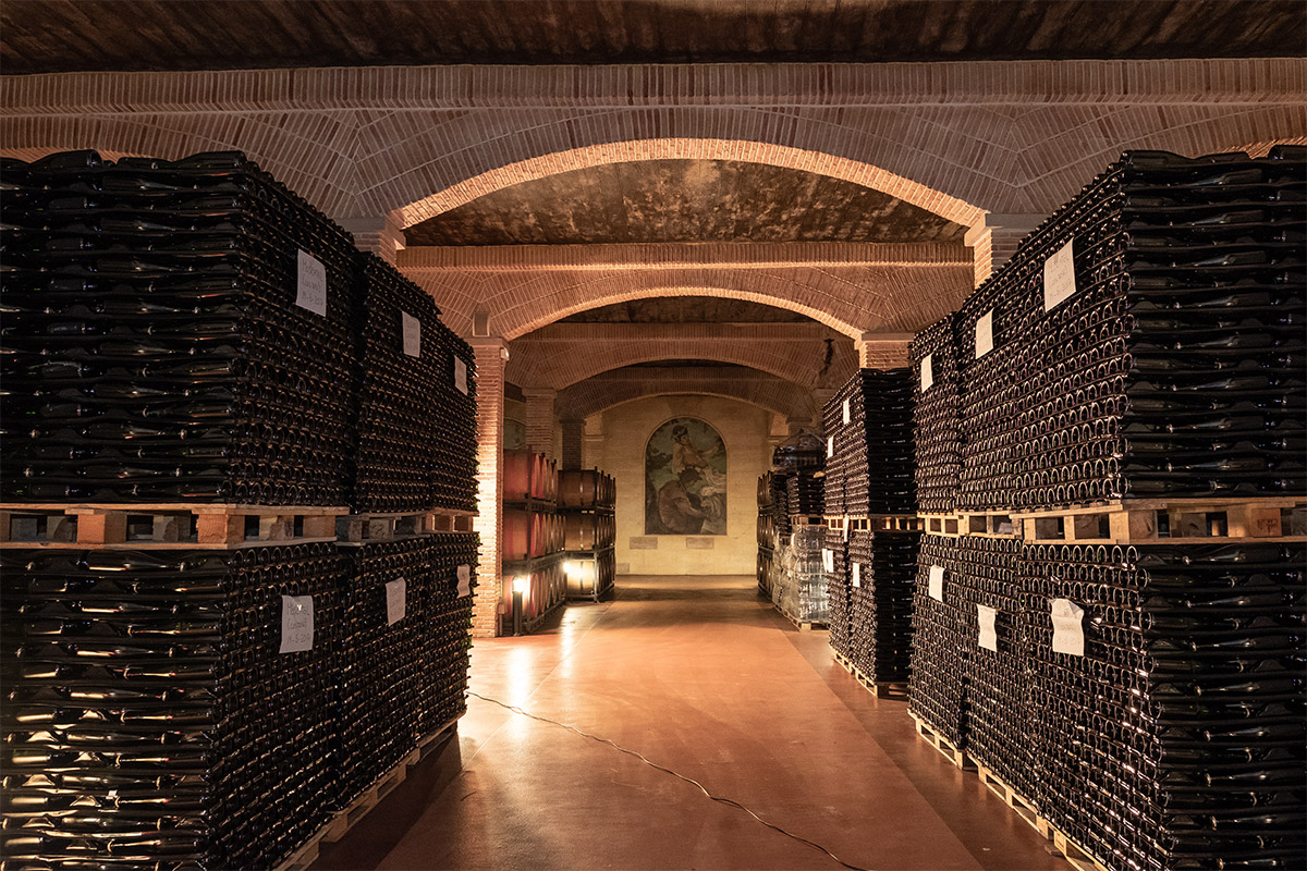 experiencia en l'Alqueria del Pilar: visita a la Bodega Francisco Gómez