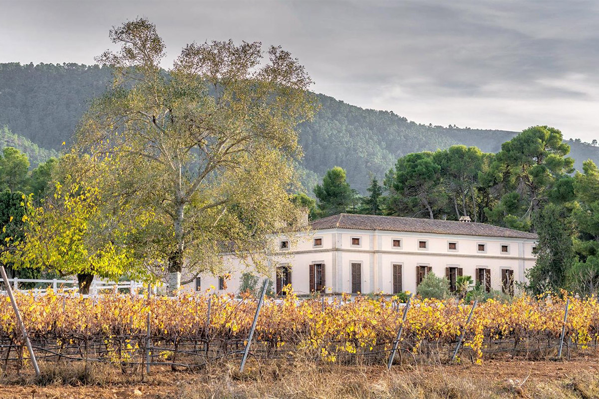 experiencia en l'Alqueria del Pilar: visita a la Bodega Los Pinos