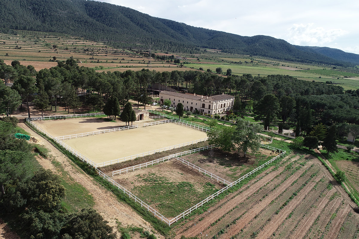 experiencia en l'Alqueria del Pilar: visita a la Bodega Los Pinos