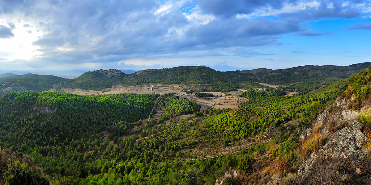 Serra Mariola panorámica