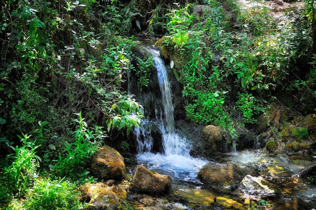 Nacimiento del río Vinalopó, cerca de l'Alqueria del Pilar